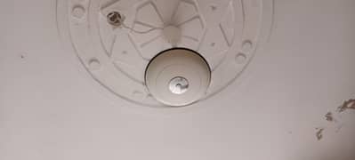 GFC celling fan