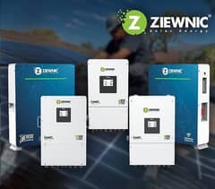 Ziewnic 24/48V lithium battery