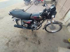 Saleem