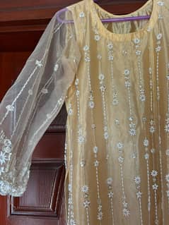 Fancy women dress