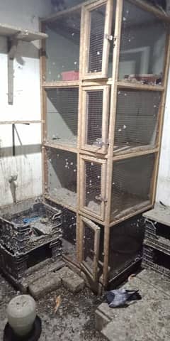 Bird Cage for Sale