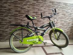 Youth Bicycle