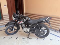 YBR