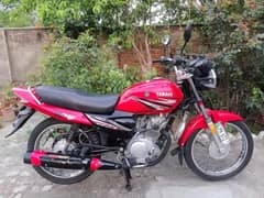Yamaha Ybz 18 Model Jhelum Number