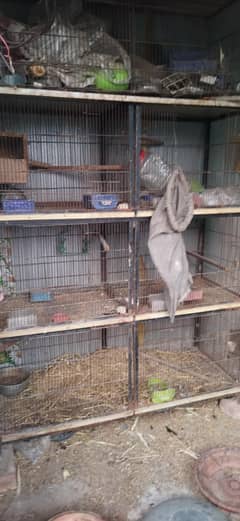 Heavy 6 portions cage