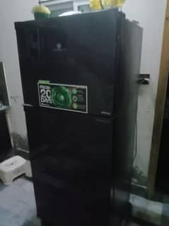 Model 2024