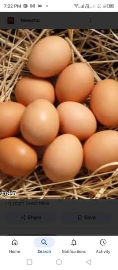 Desi egs