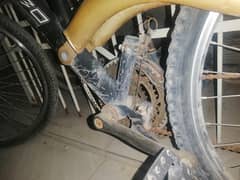 orignal raimbo bicycle