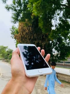 ios 8 plus PTA aprove