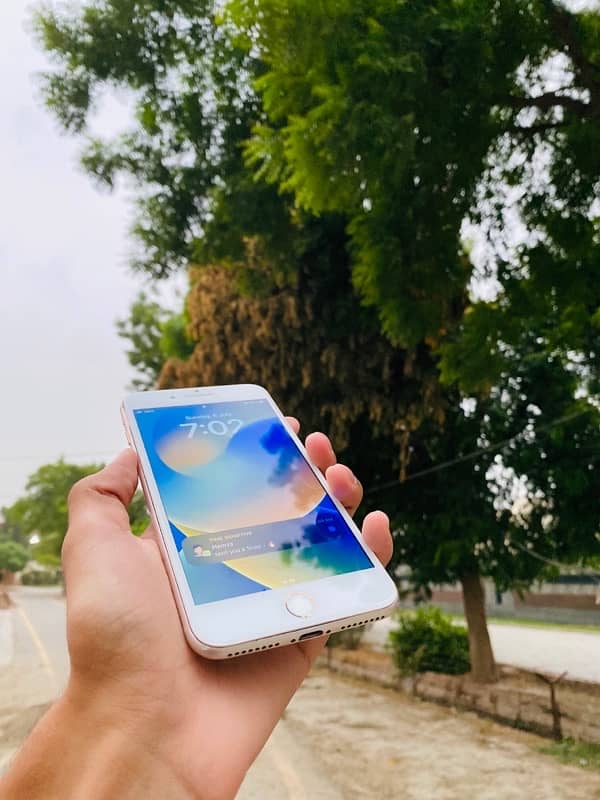 ios 8 plus PTA aprove 5