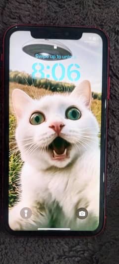 I phone 11 with box 10/9 condition