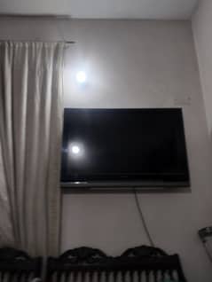 Led55inch