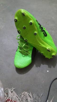 puma shoes