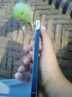 iphone 13promax