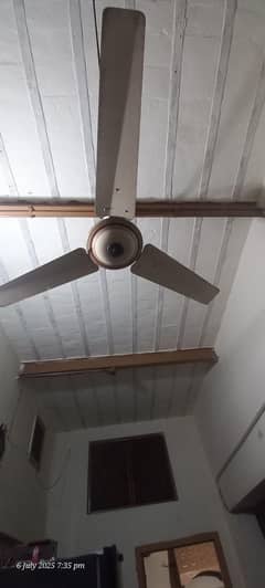 6 Celling Fan for sales