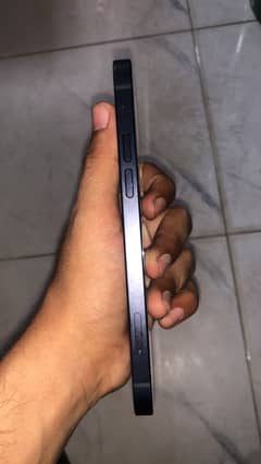 Iphone 12 panel line 95hlt