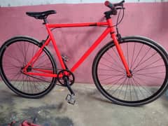 Lightweight Single Speed Road Bike / Stylish & Fast / Urgent Sale