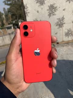 IPhone 12 phone available  on sale