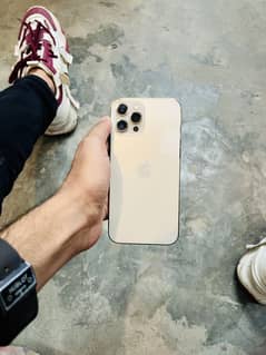 10/10 mobile 12 Pro Max water pack