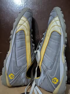 puma