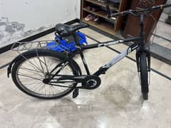 Cycle