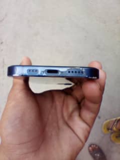 I Phone 12