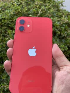 Iphone 12 PTA APPROVED