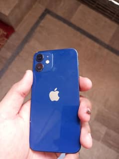 iPhones 12 all ok non pta jv
