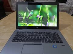 HP-AMD A10