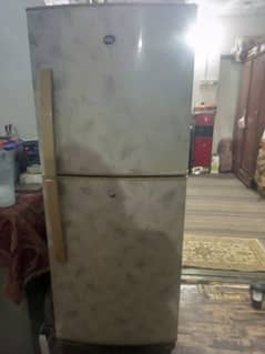 PEL Refrigerator Used