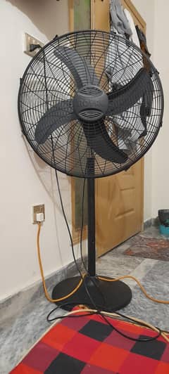 selling fan