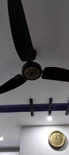 royal Fan black edition