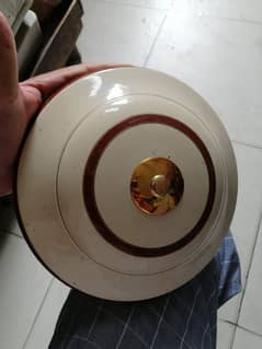 FAN
