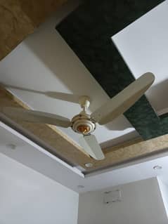 GFC ceiling fan sapphire model