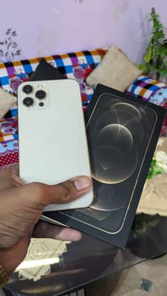 Iphone 12 pro max PTA approved