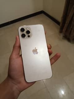 iPhone 12 Pro Single Sim PTA