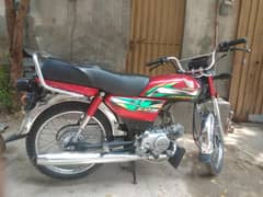 CD70 for sale