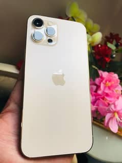 iphone 12 pro max PTA approved