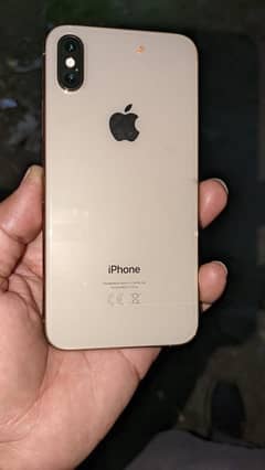 Xs