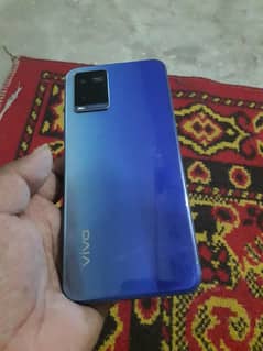 vivo