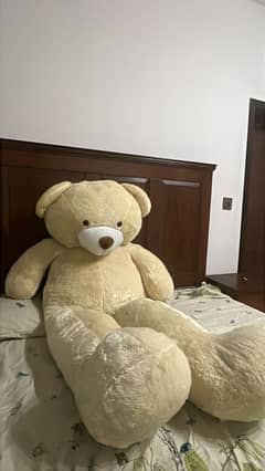 6 ft teddy bear