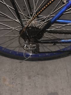 Phoenix cycle for sale