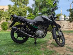 Yamaha YBR 125G 2024