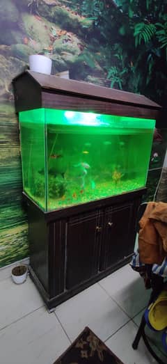 Aquarium