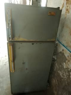 PEL Fridge For Sale