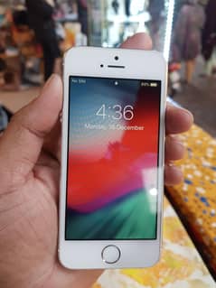 Iphon