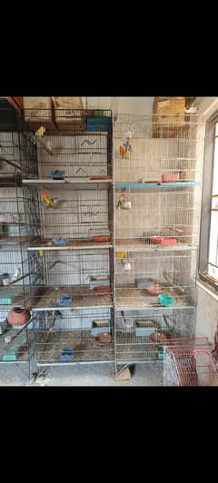cages available only