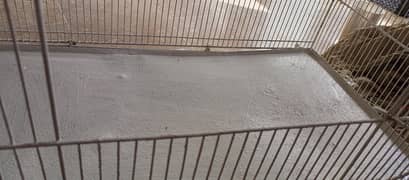bird cages
