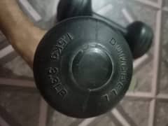 dumbbells pair