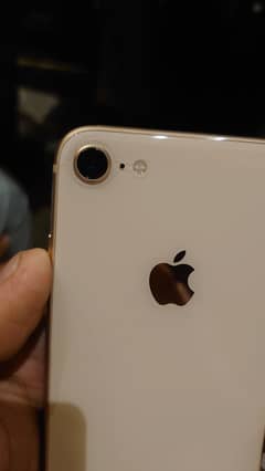 iPhone 8